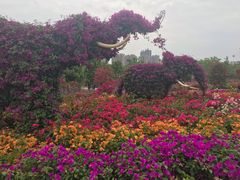 -八大山人梅湖景区