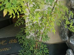 -溪畔•新徽菜(碧湖云溪店)
