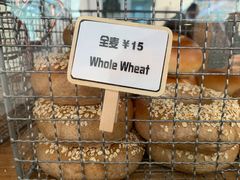 -Catch Bagel(芳草地店)