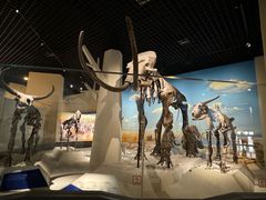 -国家自然博物馆