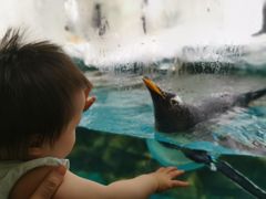 -南昌海洋公园