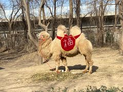-廊坊市自然公园