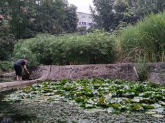 -成都市活水公园