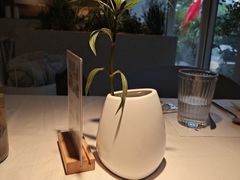 -春树下·树屋花房西餐厅(罍街AS1980店)