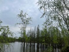 -白鹭湾湿地公园