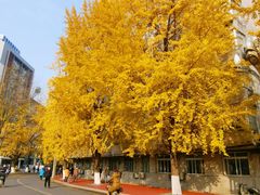 -四川大学(华西校区)