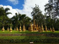 -湄公河秘制烤鱼(西双十贰城商业中心店)