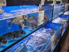 水产区-盒马鲜生(曜一城店)