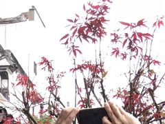 -全季酒店(苏州观前步行街店)