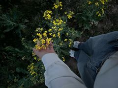 -汉长安城未央宫国家考古遗址公园