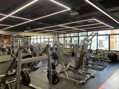 -健身专家Wellness Experts