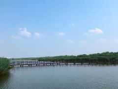 -西青郊野公园