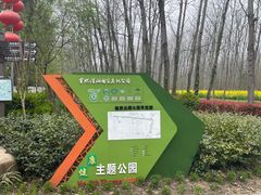 -合肥滨湖国家森林公园