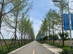 -安仁古镇