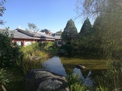 -三塔倒影公园