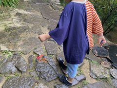 -井塘古村