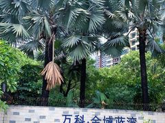 -万科·金域蓝湾