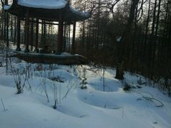 皇后奶茶-皇后餐厅-煲仔·小菜·打边炉(古北店)