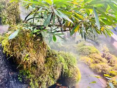 -Chom Cafe and Restaurant