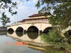 -大湾区中央湿地公园