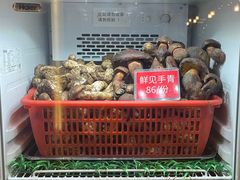 -太婆天府山珍酒楼(亚运村店)