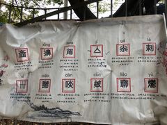 -青龙山公园