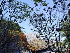 -乌山风景区