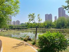 -前关湿地公园