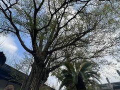 -苏州碑刻博物馆