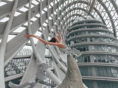 -凤凰中心