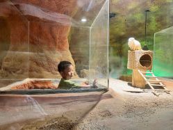 -酷嗒动物文化乐园(cutezoo西溪乐天城店)