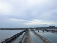-莺歌海盐场