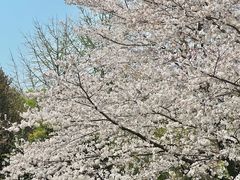 -IKEA宜家家居(南京商场)