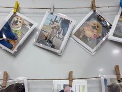 -瑞派康怡24h宠物医院·犬猫医疗中心·微创绝育(瑞景分院)