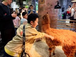 -Zoolung Zoolung动物主题公园(海信广场店)