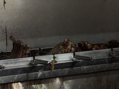 -八景休閒山莊  廣東十大名山莊