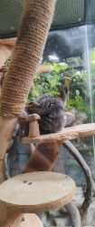 -Zoolung Zoolung动物主题公园(海信广场店)