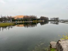 -滆湖低碳生态公园
