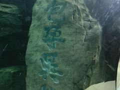-苏州海洋馆