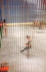 点击看大图 -桃秘钢管舞Peach Pole Fitness