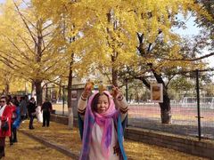 -辽宁大学(崇山校区)