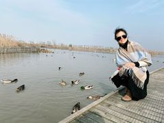 -盐城丹顶鹤湿地生态旅游区