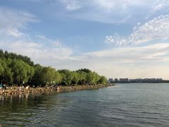 -丁香湖公园