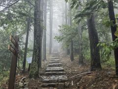 -莫干山风景区