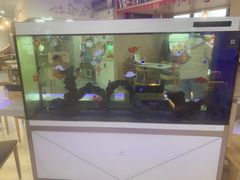 -喵园·猫主题咖啡厅·撸猫·猫咖(国贸店)