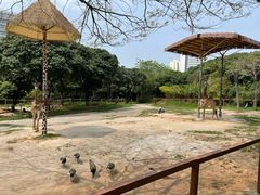 -深圳野生动物园