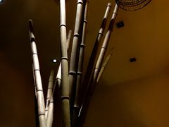 -Dragonfly悠庭·按摩Spa(浦东嘉里城店)