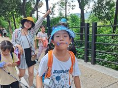 -广州市帽峰山景区