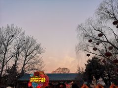 -南宫五洲植物乐园