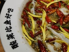 -太二酸菜鱼(金沙印象城店)